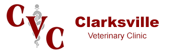 Link to Homepage of Clarksville Veterinary Clinic